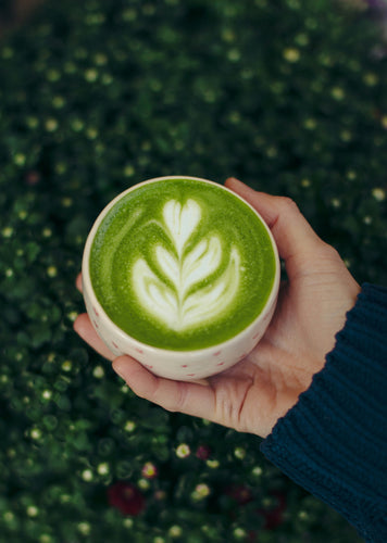 Matcha Latte : La Recette Parfaite avec Notre Matcha Premium