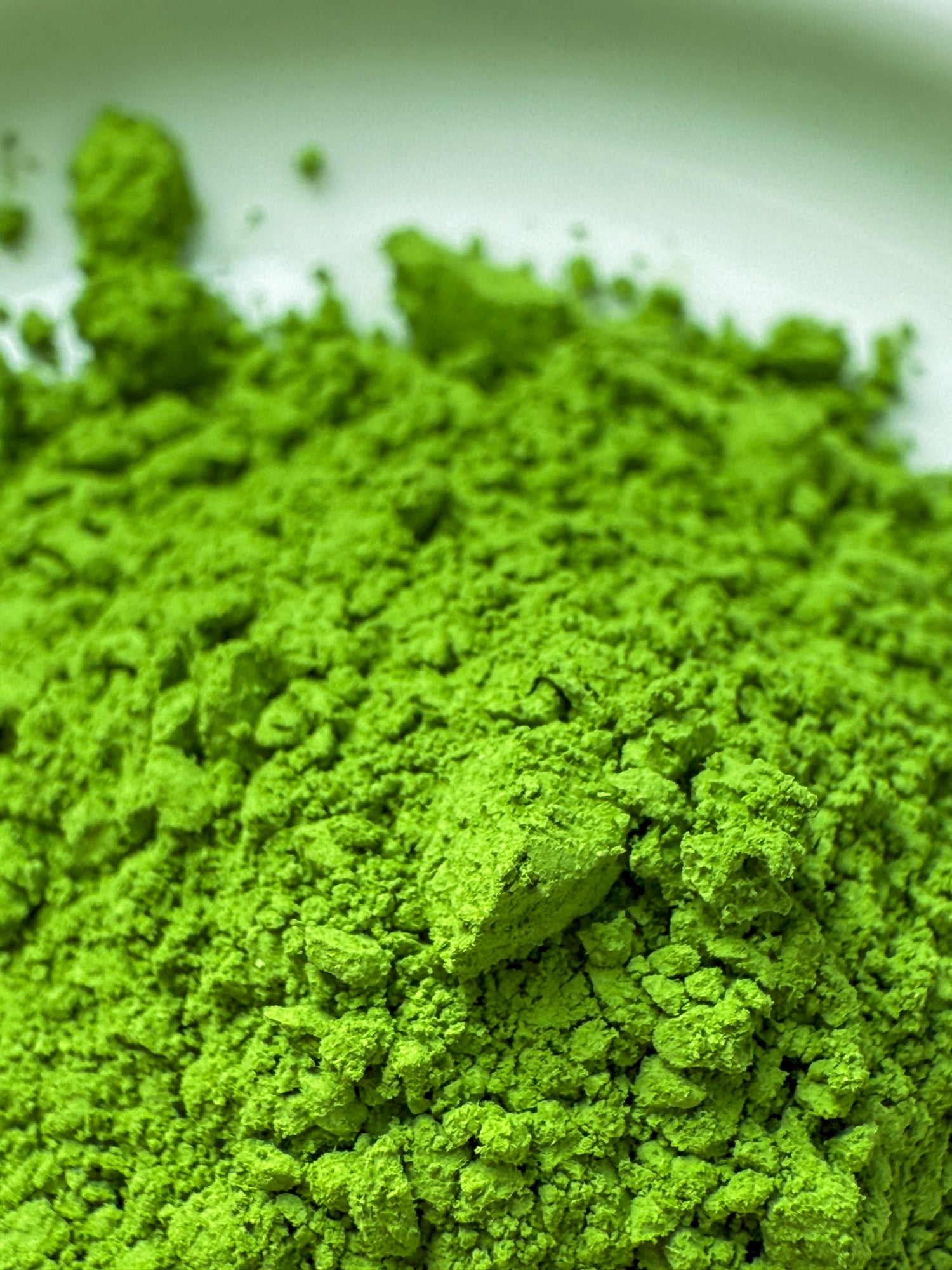 Pack Noen Découverte