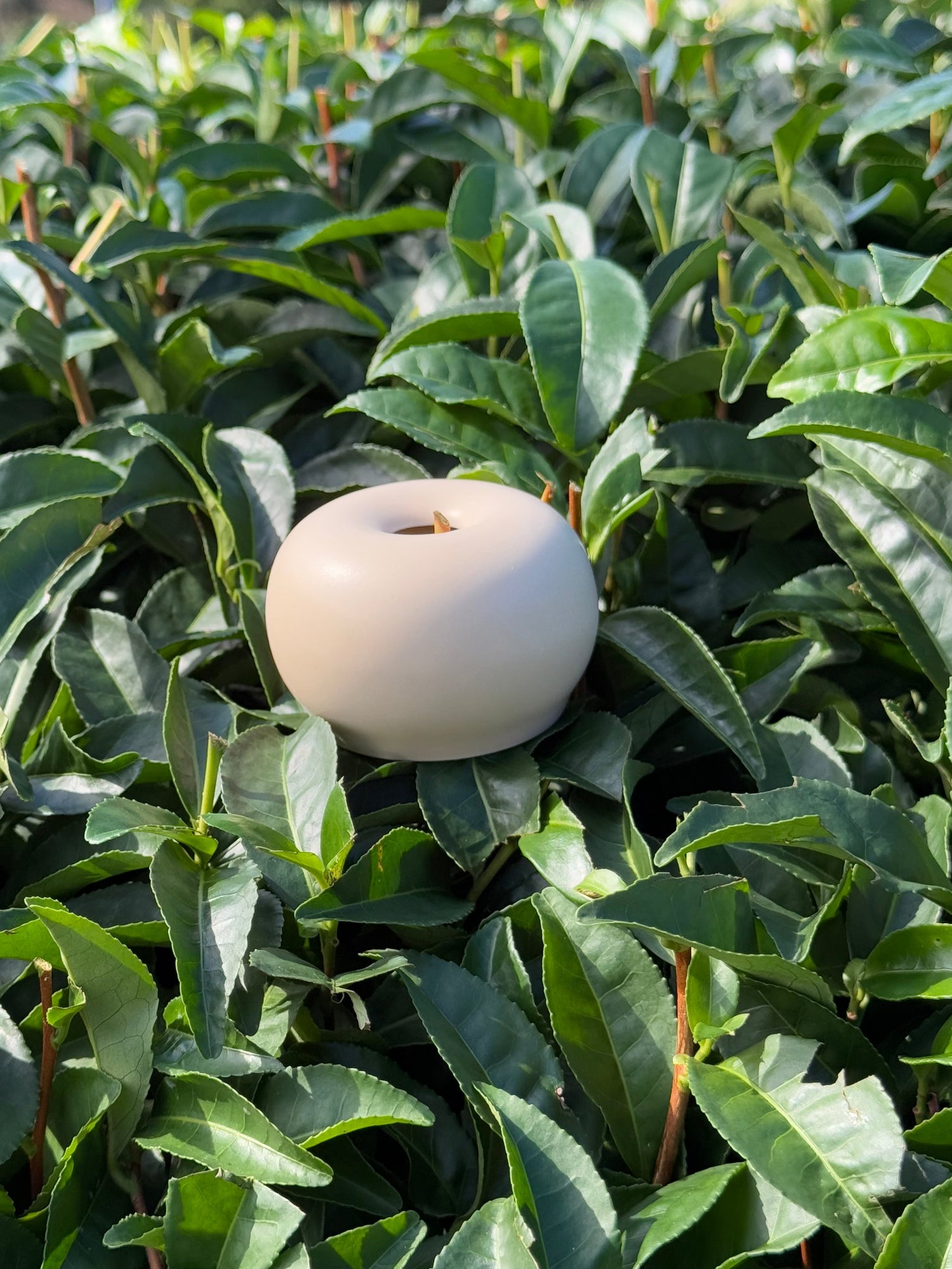 Naoshi - support fouet à matcha