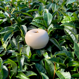 Naoshi - support fouet à matcha